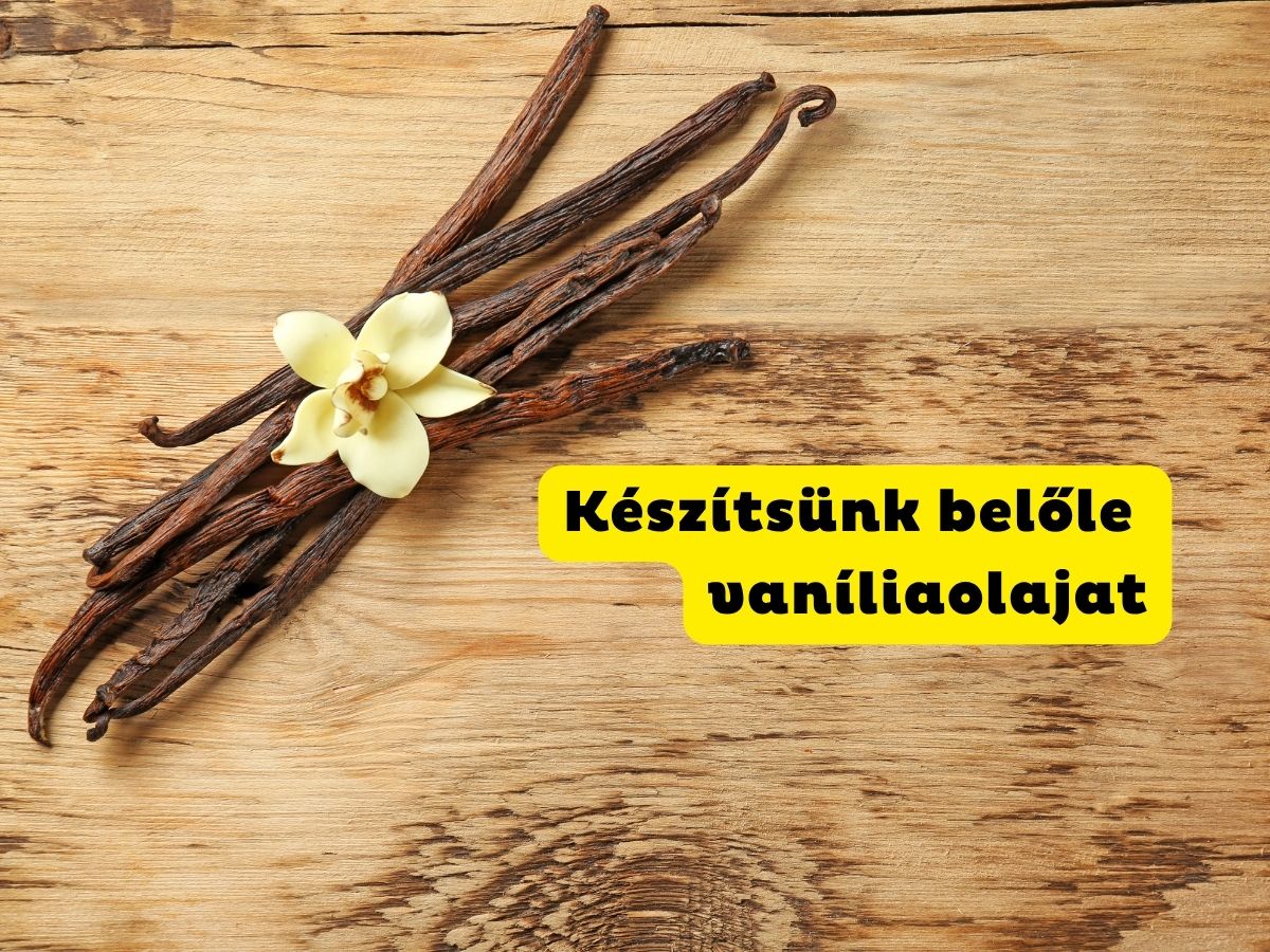 7 jel hogy csontsűrűség-vizsgálatra van szükségünk 65 éves kor előtt - 2026-07-30T142431442 - Nők Lapja Fa asztalon vaníliarudak és virág