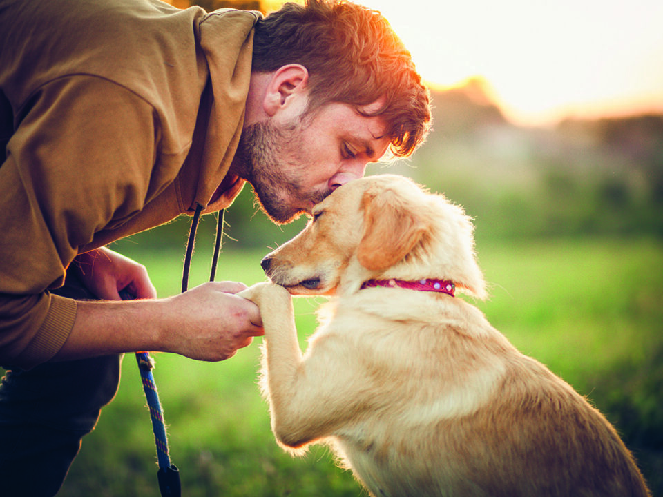 Happy man training with his dog in the nature - Nők Lapja