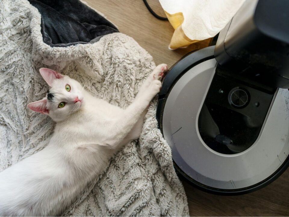 Zöld szemű, fehér macska fekszik egy puha szürke takarón, egyik mancsát a mellette álló fekete-fehér robotporszívón pihentetve.