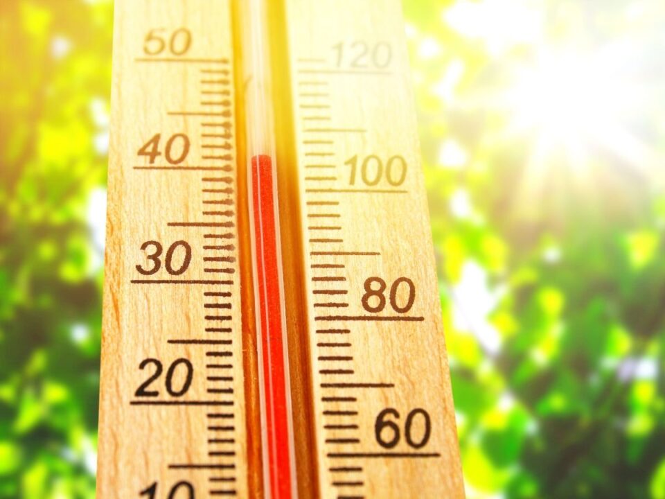masodik-hokupola-40-fok - Nők Lapja Nyári lombos fák, előtérben 40 fokot mutató hőmérő tűző napsütésben