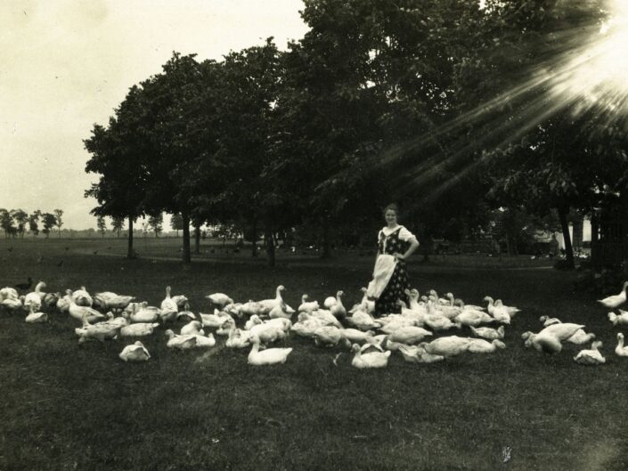 Tóalmás 1900-ban