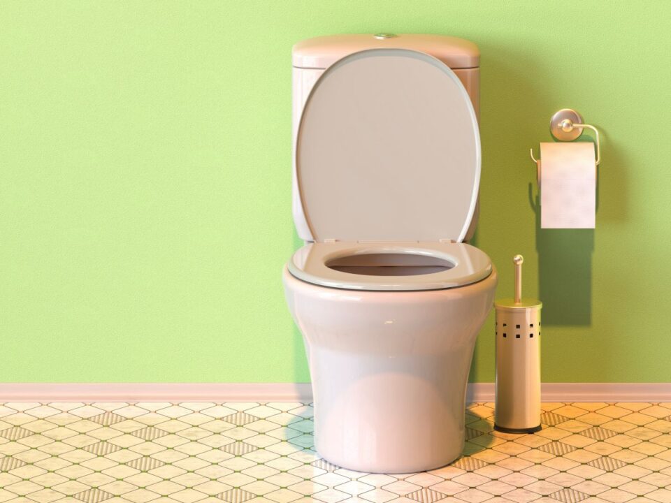 Fehér porcelán WC nyitott tetővel egy világoszöld falú fürdőszobában. Mellette WC-kefe és toalettpapír-tartó látható világos mintás padlón.