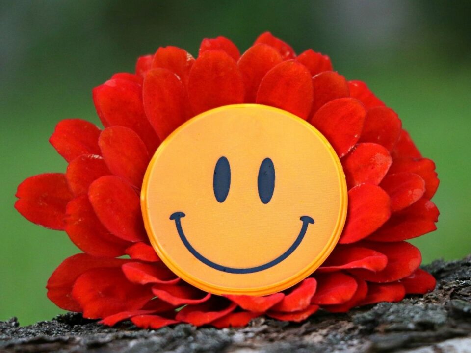 orom-lelekcel - Nők Lapja Smiley figura piros gerbera közepén