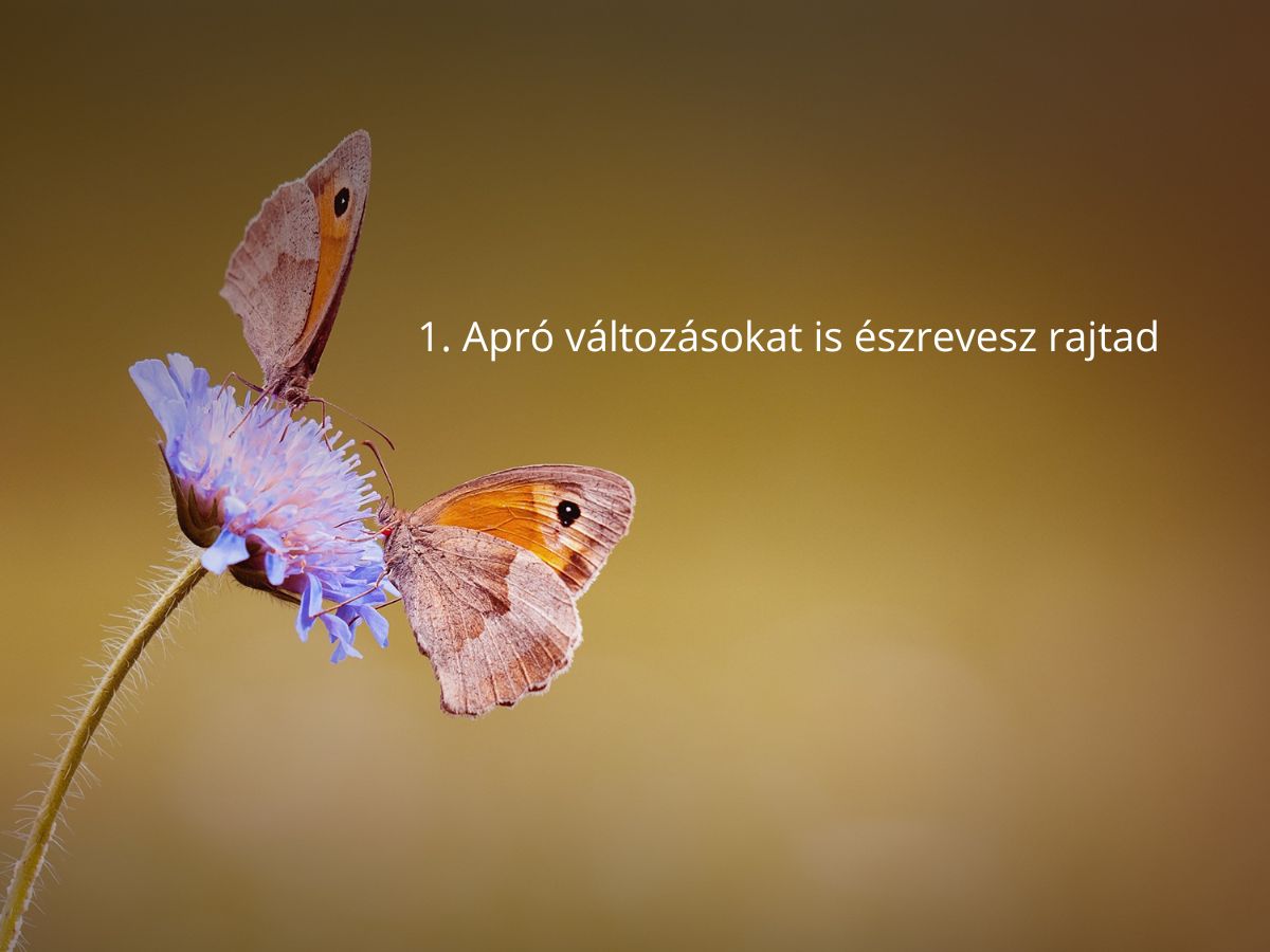 titkos-csodalat-jelei - Nők Lapja