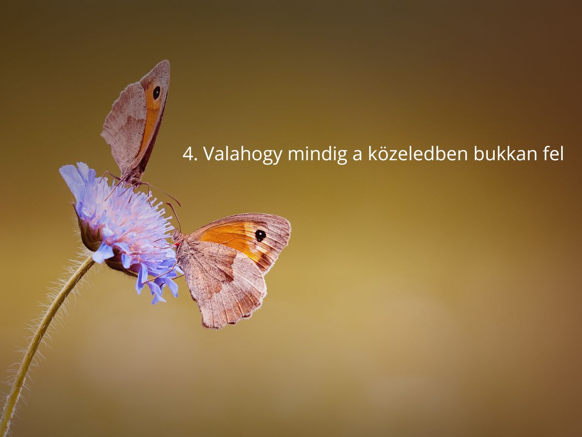 titkos-csodalat-jelei - Nők Lapja