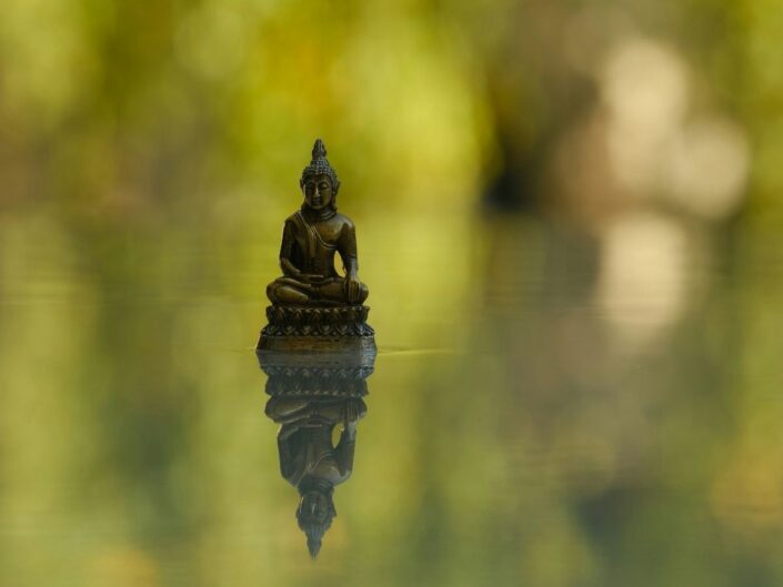 Apró Buddha szobor vízben tükröződik, háttérben elmosódott zöld növények