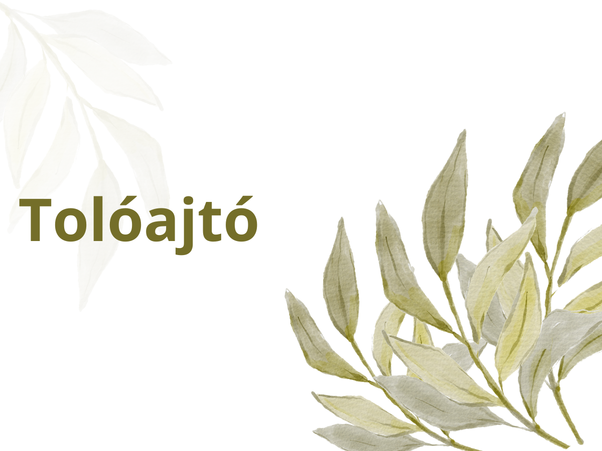 olivaolaj-haztartas - Nők Lapja olívaolaj háztartás