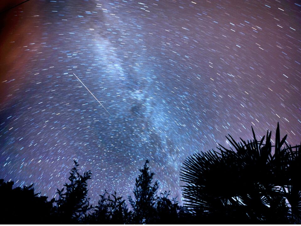 perseidak-2026-hullocsillag-magyarorszag - Nők Lapja Hosszú expozícióval készült felvételen íves csillagnyomok és egy egyenes meteorcsík ragyog a Tejút sávja, valamint sötét növénysziluettek felett.