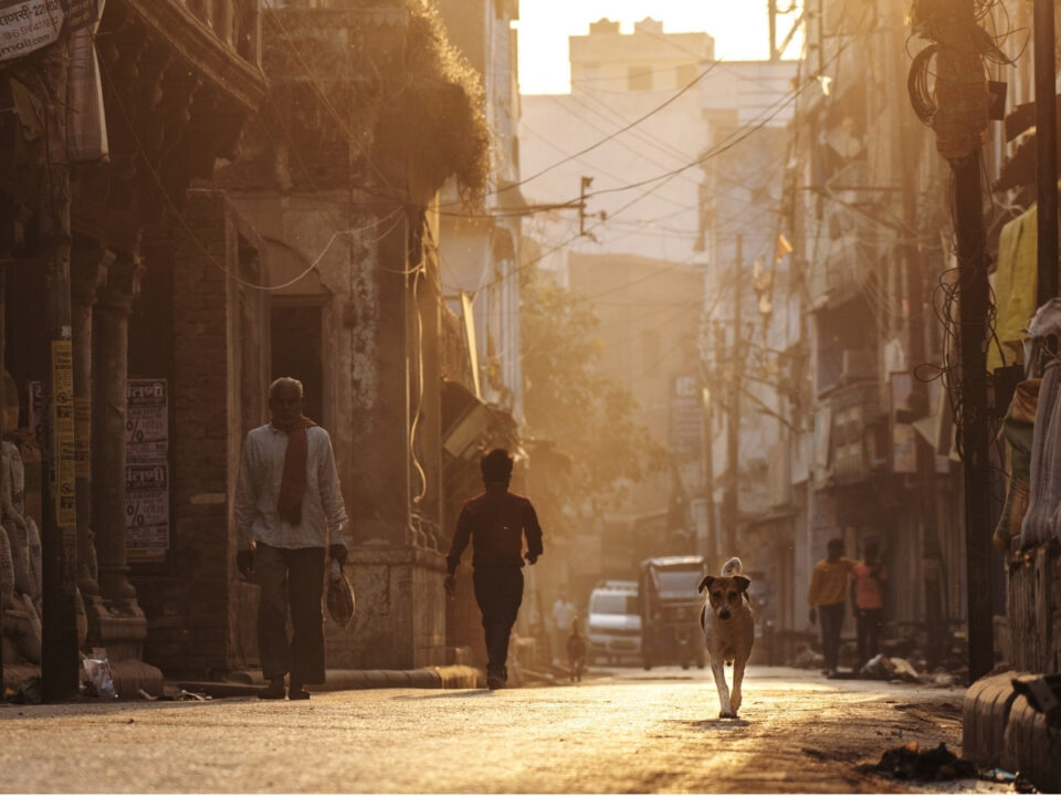 szaharai-homok-belegzes-veszely - Nők Lapja Aranyló, poros levegőjű városi utcán egy idős férfi, egy futó gyerek és egy kutya halad; a háttérben járművek és járókelők látszanak.