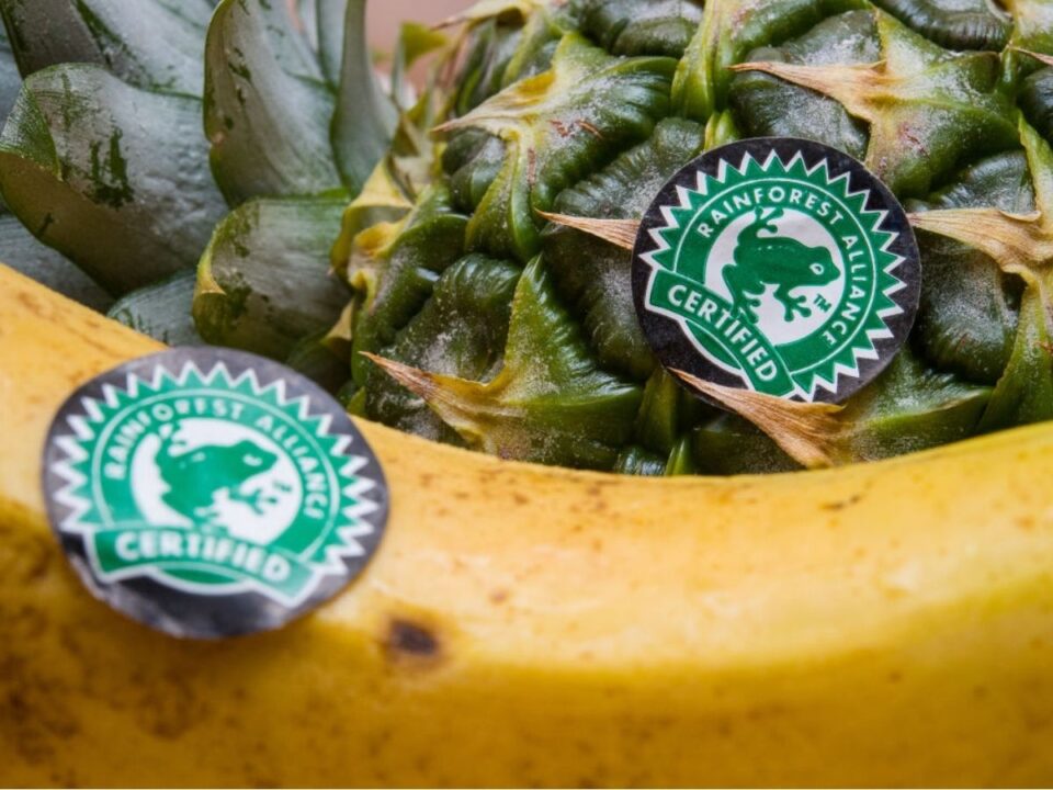 beka-jel-elelmiszer-fenntarthatosag - Nők Lapja