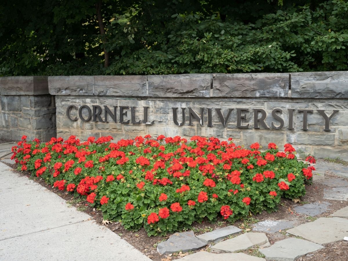 Cornell University felirat egy kőfalon, előtte virágágyással