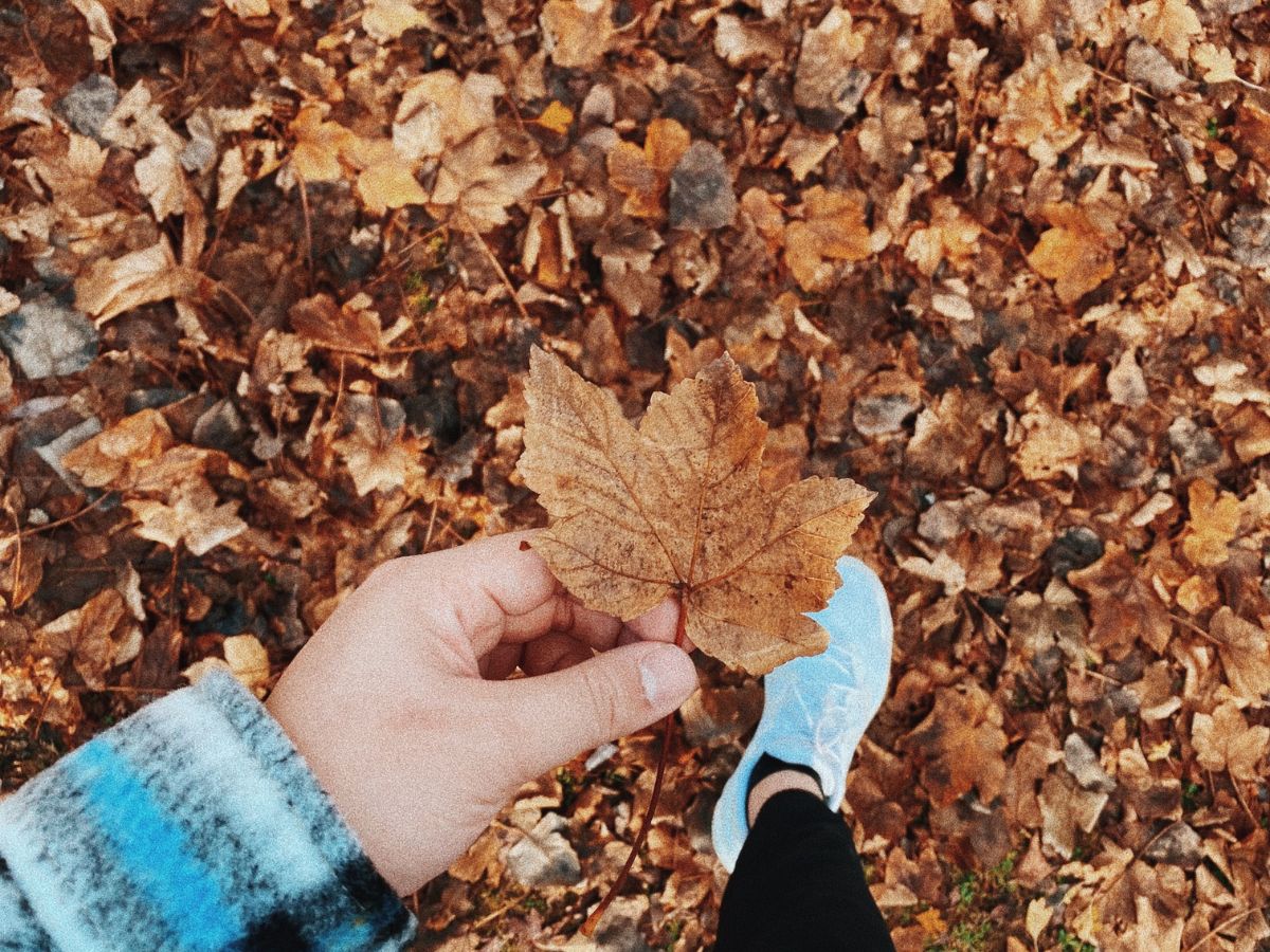 3-csillagjegy-varatlan-hir-oktober - Nők Lapja falevél októberben