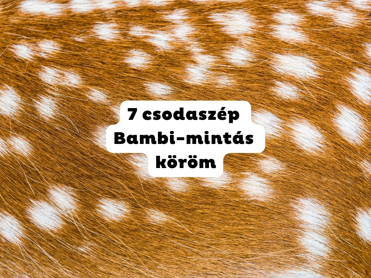Őzminta közeli képen
