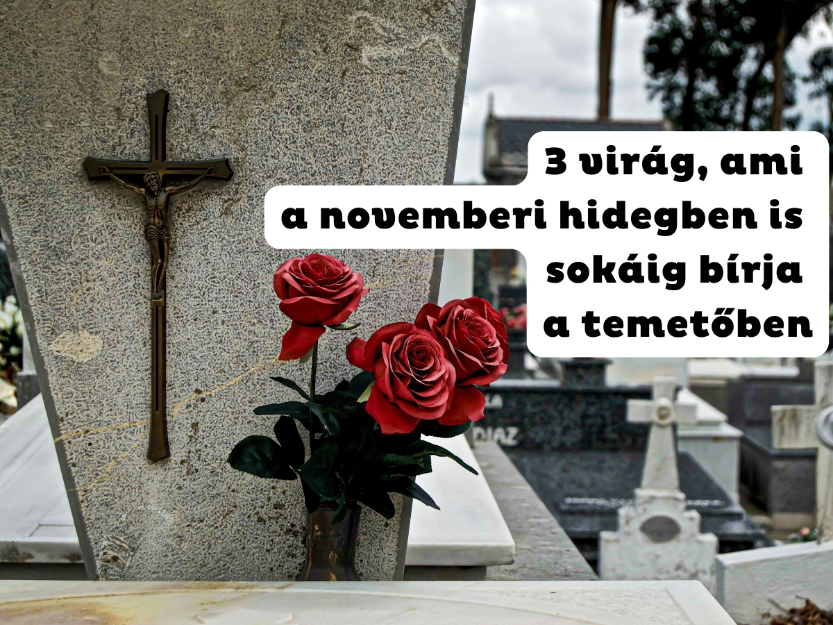 Sírkő kereszttel, rajta vázában három szál rózsa