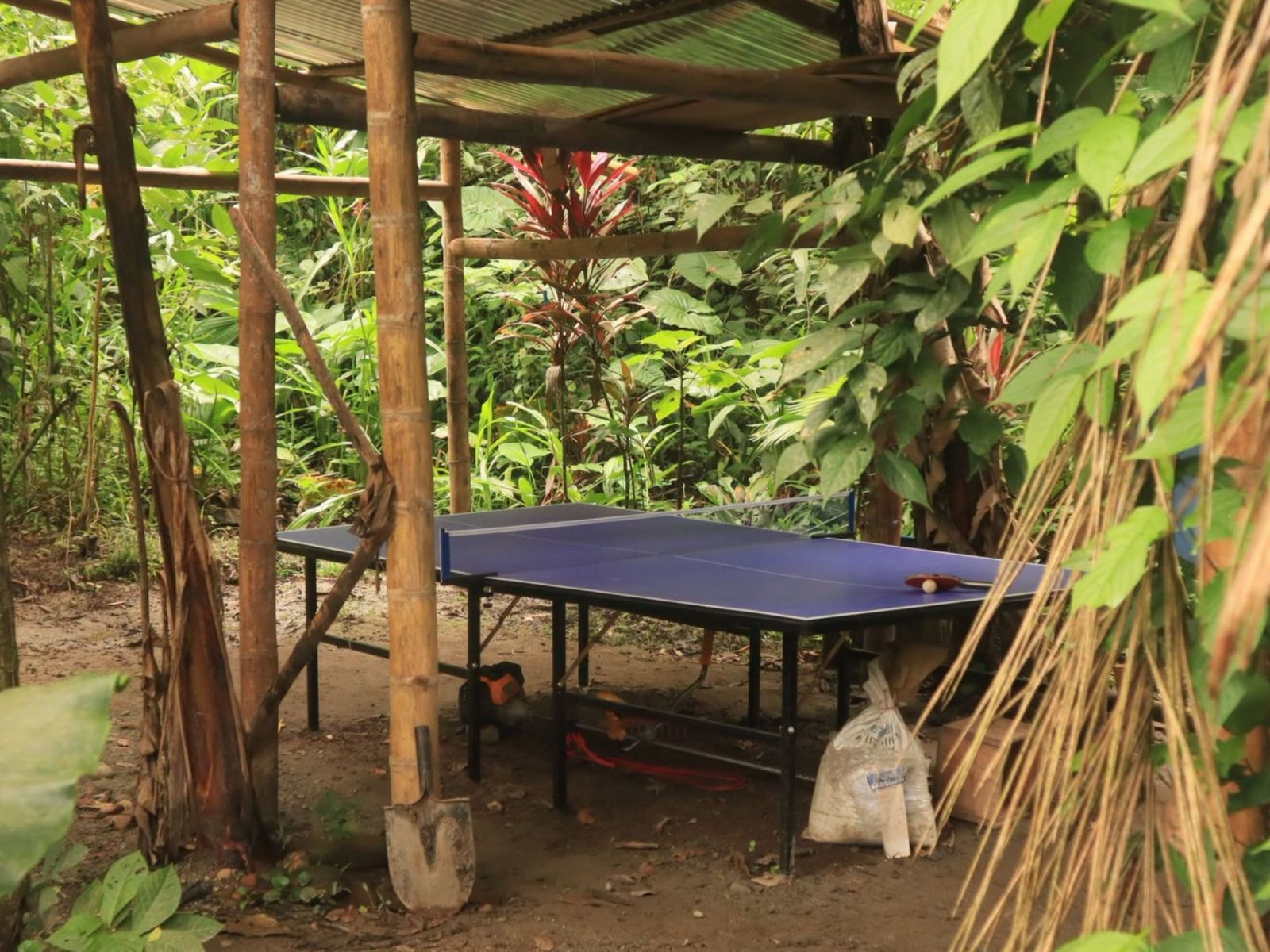 ARató Róza és Ráthonyi Botond faháza mellett még pingpong asztal is van